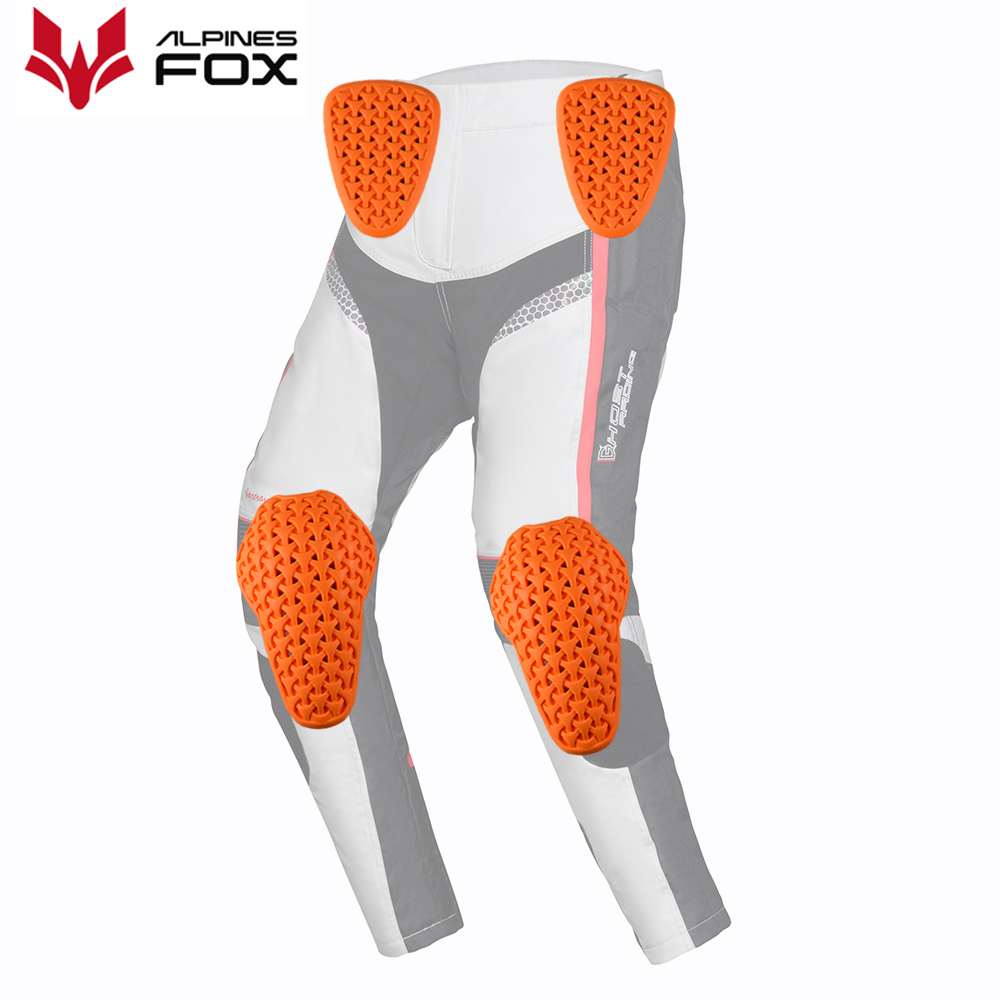 Сертифицированные мотоциклетны – обзор и цена Motorcycle Gear Alpine